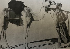 'Arenas de Arabia': una legendaria aventura por el Territorio Vacío