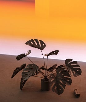 Imagen secundaria 2 - De arriba abajo, detalle de las propuestas del MMMD en La Gaviota, en Hyper House (obra de Clients and Server) y en Navesierra