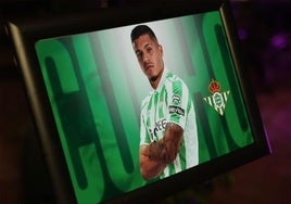 Oficial: Cucho Hernández, nuevo delantero del Betis