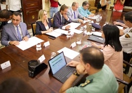El Ayuntamiento de Granada propone la Inteligencia Artificial para frenar los enganches de luz ilegales