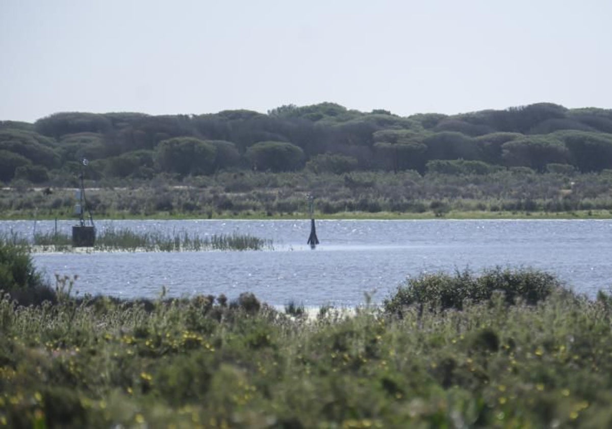 Parque de Doñana