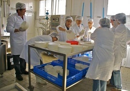 La Junta abrirá en Hinojosa del Duque un centro para la preservación de la ganadería