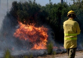 ¿Cómo afectarán las lluvias de marzo a los posibles incendios del verano?