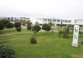 Vecinos denuncian que la ampliación de Elche Parque Empresarial trae «sobrecostes» urbanísticos con expropiaciones «irrisorias»