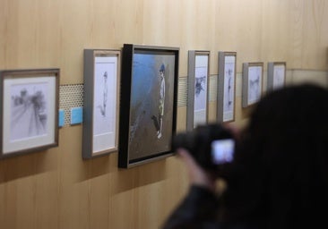 En imágenes, la exposición de Francisco Escalera en el Bellas Artes