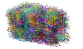 El mapa de un milímetro cúbico de cerebro abre la puerta al tratamiento del alzhéimer, autismo o el párkinson