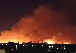 Arde otra zona de pastos en Dos Hermanas, la cuarta en menos de un mes