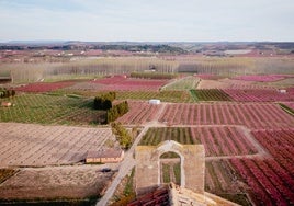 Aitona, cuna de santos y pueblo al que los melocotoneros tiñen de rosa en primavera