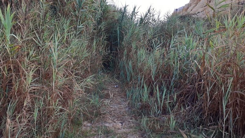Playa de la Torre del Loro ¿Pública o privada?