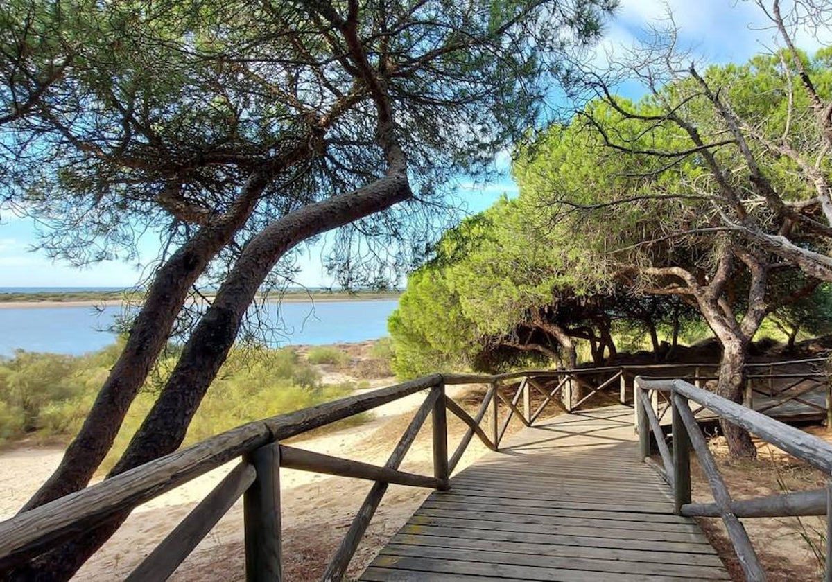 Acceso en la zona de Nuevo Portil, donde la playa sí está en condiciones óptimas