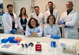 Investigadores de la UCA y la US identifican una nueva aplicación de un fármaco para la regeneración de lesiones cerebrales