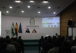 El Plan Romero 2025 en Cádiz se activará el 2 de junio «con un alto riesgo de incendios» y preocupación por el virus del Nilo