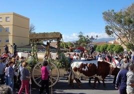 Un pueblo de Cádiz celebra este fin de semana su romería declarada como Bien de Interés Turístico