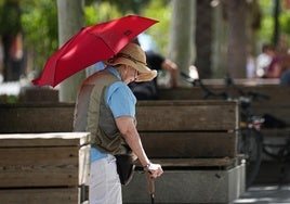 Toman «una decisión sin precedentes ante la falta de información por parte de la Aemet en esta primera ola de calor»